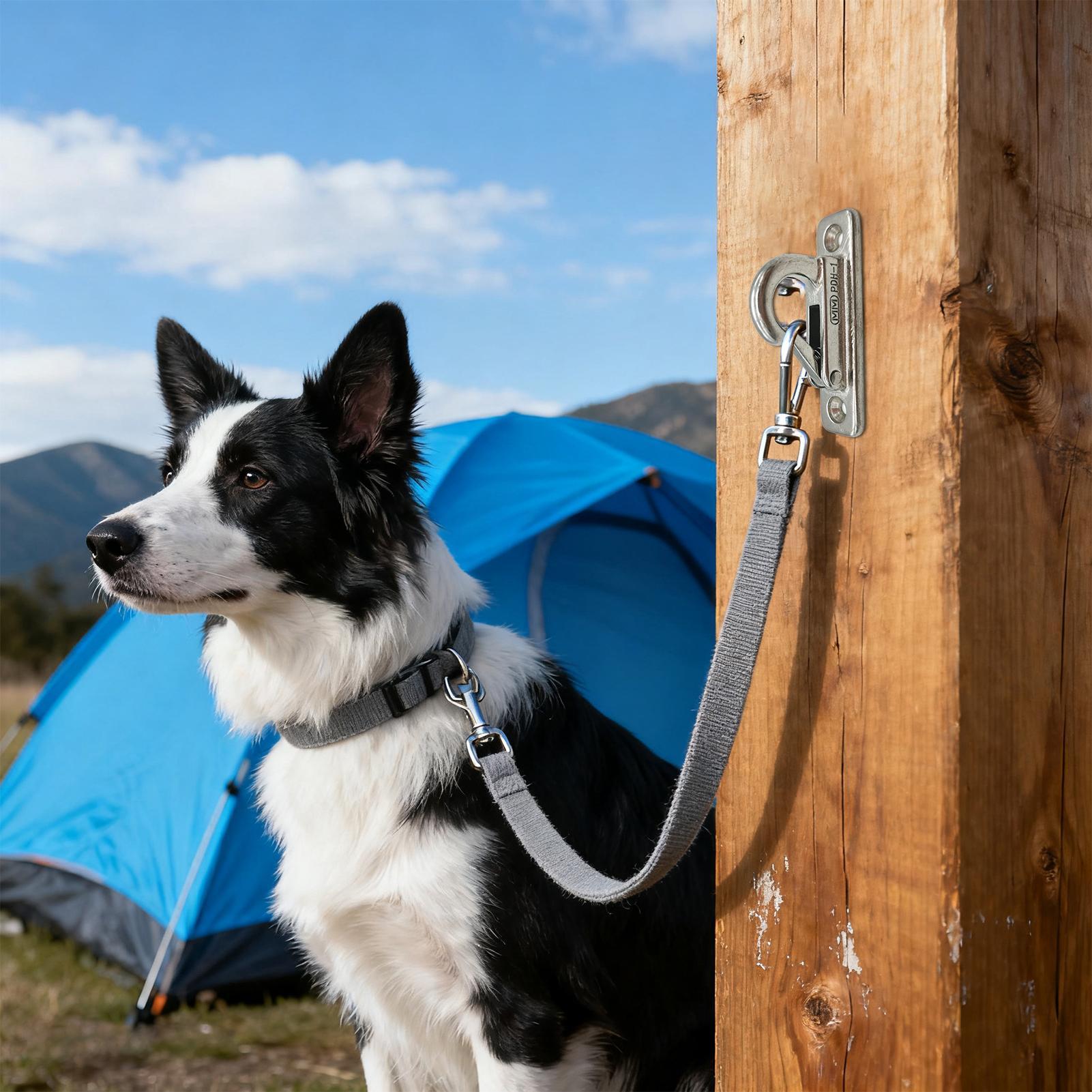 Dog Leashes Holder for Wall Pe – Security Chain Door recenzja i cena